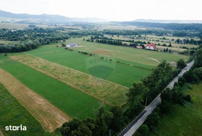 Teren de 10000 mp, în Vânători-Neamț