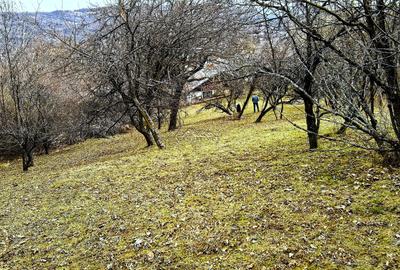 Teren agricol intravilan de 2623 mp, în Est - 10