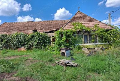 Teren de 3500 mp, în Sângeorzu Nou - 2