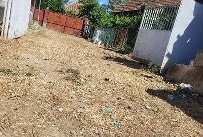 Casă cu 5 camere în Banloc