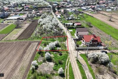 Spațiu comercial, de 801 mp, în Tărtășești - 5