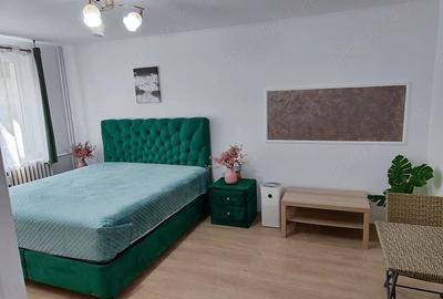 Garsonieră decomandată în Ozana - 8