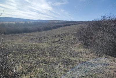 Teren de 11000 mp, în Aluniș