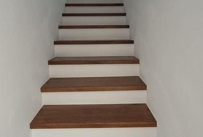 Casă cu 2 camere în Satu Nou de Jos - 13