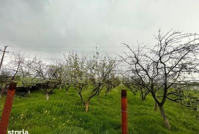 Teren de 4447 mp, în Pielești