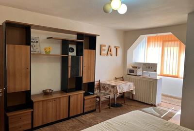 Garsonieră semidecomandată în Ultracentral - 1