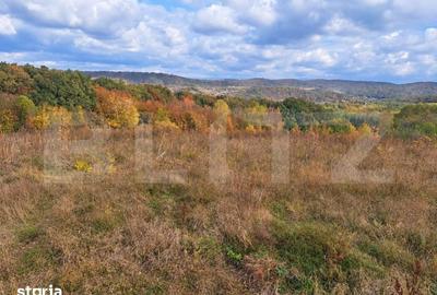Teren de 5700 mp, în Acățari