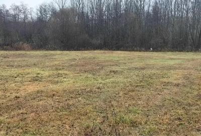 Teren de 3800 mp, în Bâscenii de Jos - 1