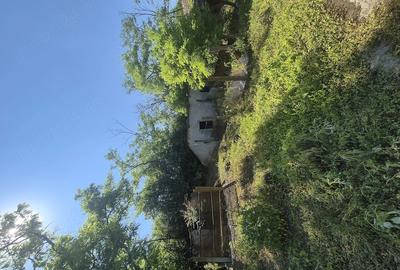 Casă cu 4 camere cu Canalizare în Independența - 3