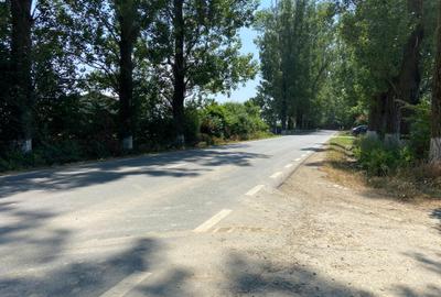 Teren Construcții intravilan de 5000 mp, în Siliștea Snagovului - 6