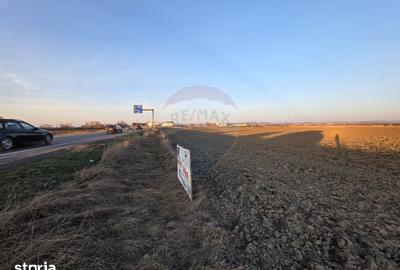 Teren de 30000 mp, în Hălchiu - 6