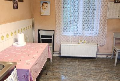 Casă cu 3 camere în Daia