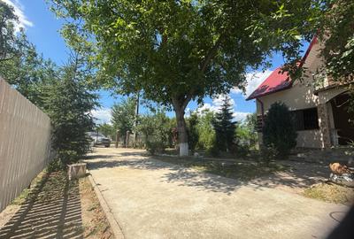 Casă cu 4 camere în Prisăcani - 3