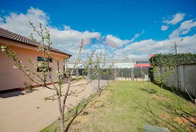 Casă individuală cu 3 camere cu Teren 486 Mp în Sânmartin - 14