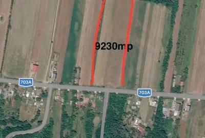 Teren de 9230 mp, în Răchițele de Jos