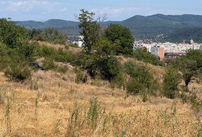 Teren de 400 mp, în Troianu