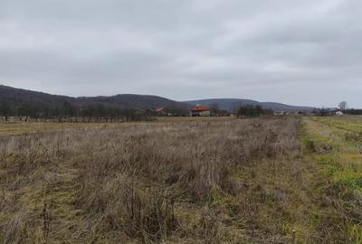 Teren de 2200 mp, în Budești - 3