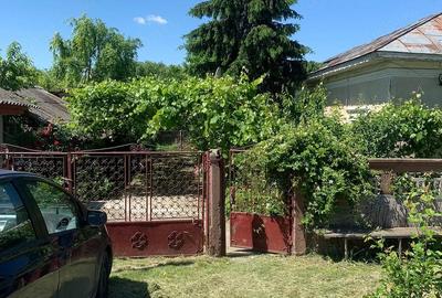 Casă cu 6 camere cu Teren 1900 Mp în Nana - 10