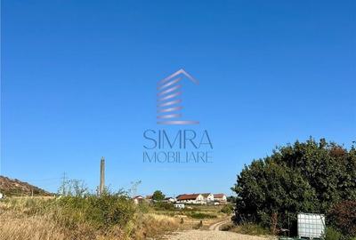 Spațiu comercial, în Betfia