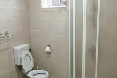 Garsonieră în Ferdinand - 1