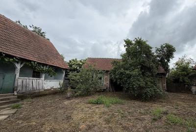 Casă cu Teren 4083 Mp în Chizătău - 1