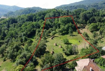 Teren de 6348 mp, în Corbeni - 8