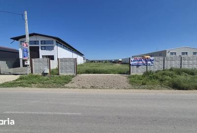 Teren de 5000 mp, în Bucov - 2