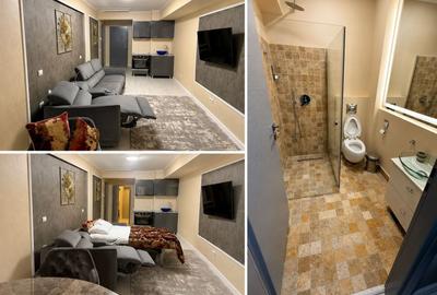 Apartament cu 3 camere semidecomandat, mobilat în Herăstrău