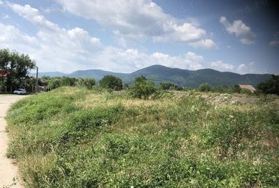 Teren de 5470 mp, în Ciritei - 4