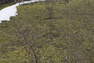 Teren de 1168 mp, în Frumușița - 1