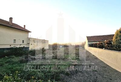 Teren Construcții intravilan de 2950 mp, în Partoș - 3