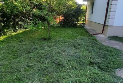 Apartament cu 3 camere decomandat în Central - 1