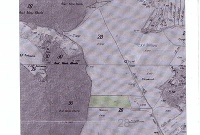 Teren de 70000 mp, în Sântejude - 7