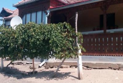 Casă cu Teren 5000 Mp în Mărășești - 2