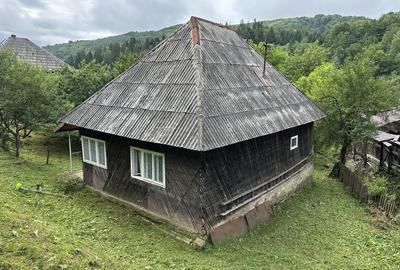 Casă cu 2 camere în Strâmbu-Băiuț - 3