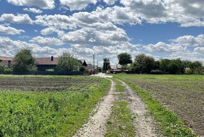 Teren Construcții intravilan de 6772 mp, în Prejmer - 2