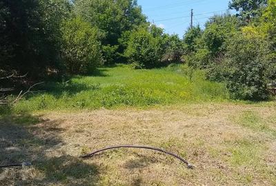 Casă cu 3 camere cu Teren 2000 Mp în Brănișca - 5