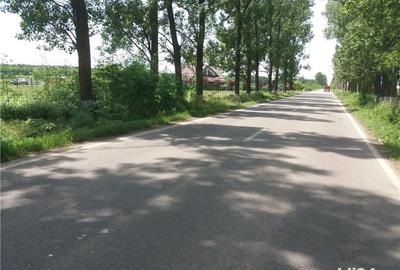 Teren de 1900 mp, în Siliștea Snagovului - 4