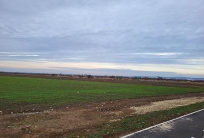 Teren Construcții intravilan de 3250 mp, în Nufărul - 1