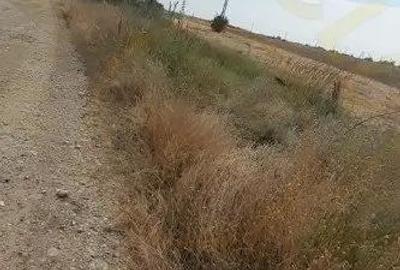 Teren de 3067 mp, în Bradu - 1