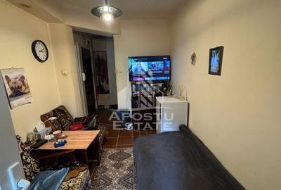 Apartament cu 2 camere semidecomandat în Lipovei