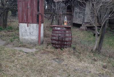 Casă cu 3 camere în Sărmășel