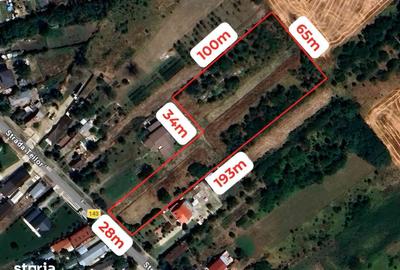 Teren de 9000 mp, în Săbăreni