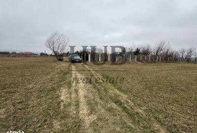 Teren de 900 mp, în Măgura - 4