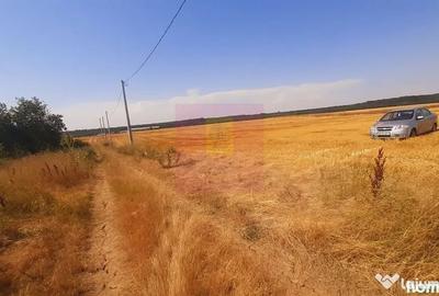 Teren de 2000 mp, în Brănești