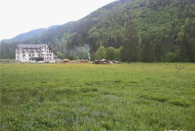 Teren de 5000 mp, în Brateș - 2
