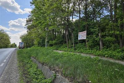 Teren intravilan de 2500 mp, în Drăgușeni