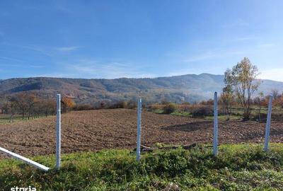 Teren de 4316 mp, în Fârdea - 3