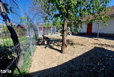 Casă cu 3 camere cu Teren 800 Mp în Central - 8