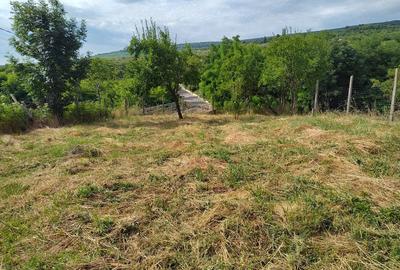 Casă cu 3 camere cu Teren 1200 Mp în Goruni